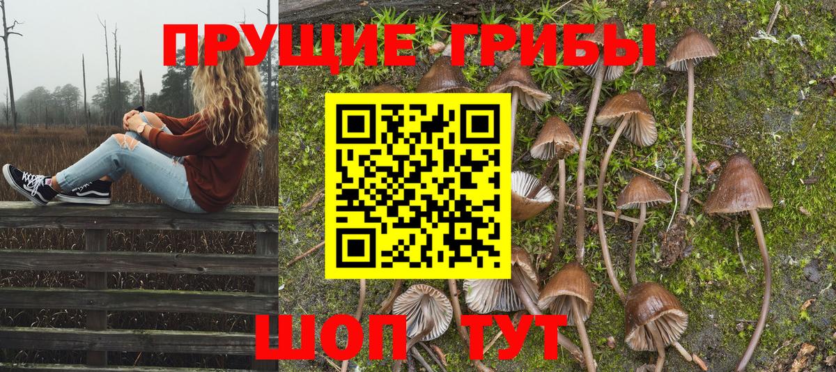 Псилоцибиновые грибы GOLDEN TEACHER  Вход с VPN  Юрга 