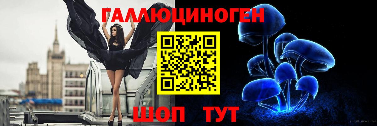Галлюциногенные грибы Psilocybine cubensis Юрга
